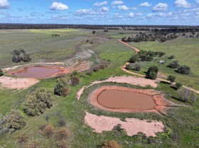 Property in West Wyalong - Sold