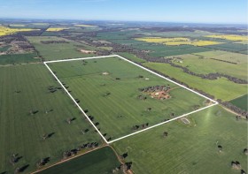 Property in Temora - Sold