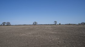 Property in Rowena - Sold