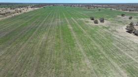 Property in Collarenebri - Sold