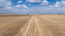 Property in Moree - Sold