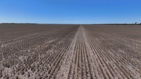 Property in Walgett - Sold
