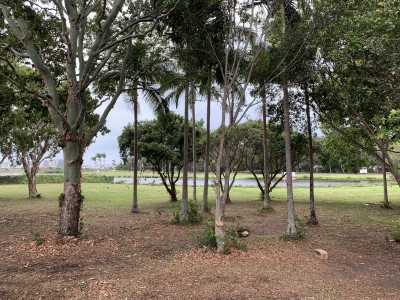 Property in Maroochydore - Leased for $620
