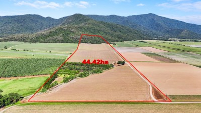 Lot 1 Morgan Road, Gordonvale, QLD 4865