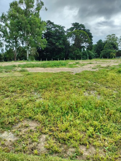 Lot 19 Lot 19 Bohemia Court, White Rock, QLD 4868