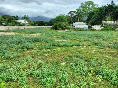 Lot 12 Lot 12 Bohemia Close, White Rock, QLD 4868