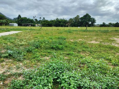 Lot 14 Lot 14 Bohemia Court, White Rock, QLD 4868