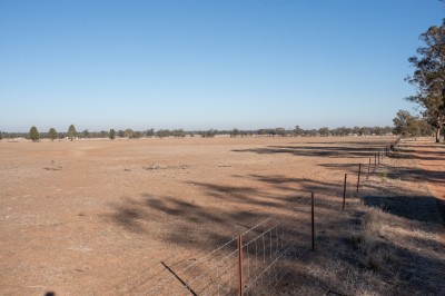 Property in Gilgandra - $610,000