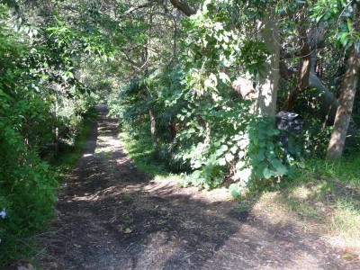 Property Sold in Beecroft