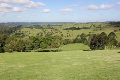 Property in Witta - Sold