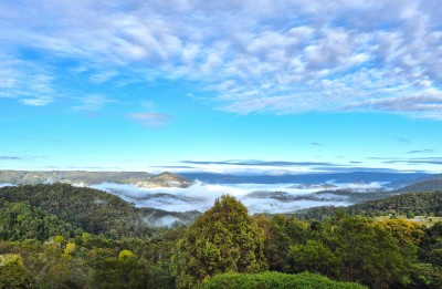 Property in Witta - OFFERS OVER $1,825,000