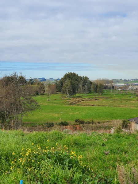 22 Thomason Crescent, Pokeno, Auckland 2472