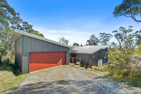 LIVE GREEN IN STYLE: STUNNING ARCHITECTURAL BUSHLAND HOME