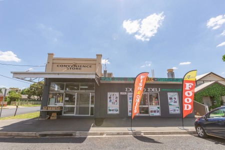 251 Brisbane Street, Dubbo, NSW 2830