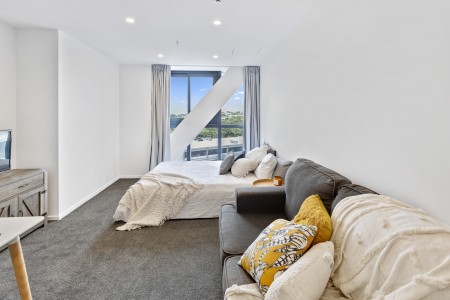 20 Park Ave, Ellerslie, Auckland 1051