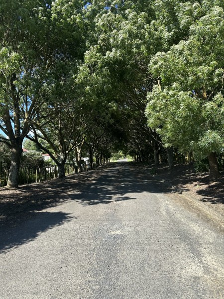 135D Travers Road, Te Kauwhata, Waikato 3782