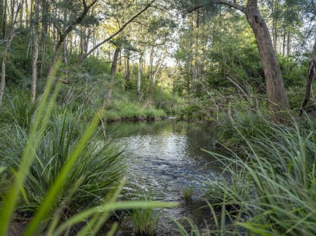 Lot 112 Shipmans Road (Crn of Tallawudjah Creek Rd & Twelve-Sixty Rd), Glenreagh, NSW 2450