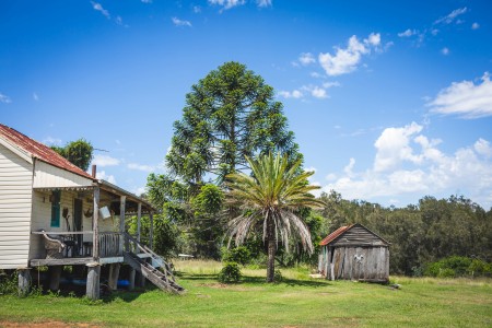 236 Plainby Douglas Road, Douglas, QLD 4354