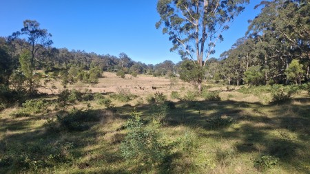 Lot 7 Donovan Road, Cabarlah, QLD 4352