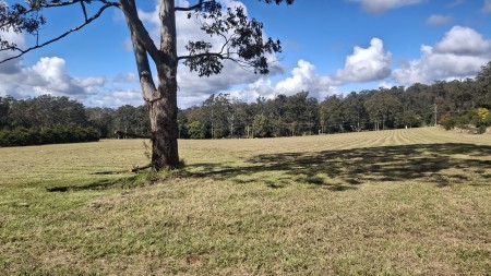 Lot 135 Wilkes Road, Hampton, QLD 4352