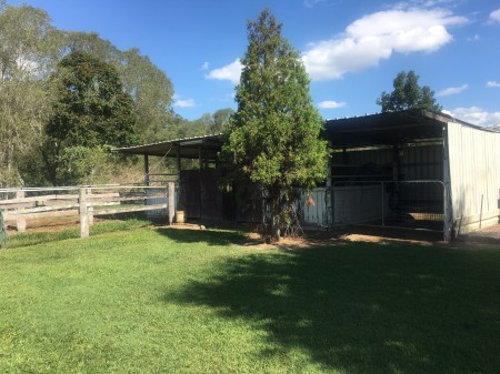 325 Hotham Creek Road, Willow Vale, QLD 4209