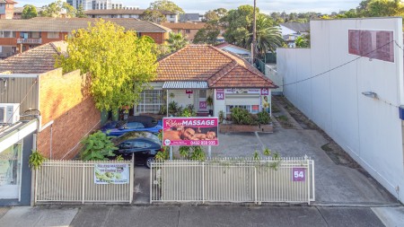 54 Canley Vale Road, Canley Vale, NSW 2166