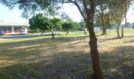 46 Charles street, Iluka, NSW 2466