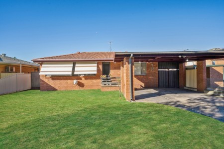 Entertainer's Delight