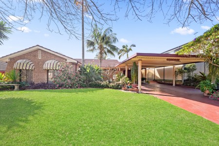 Sold by Wahid Hamayoun!