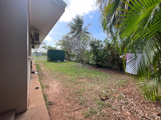 Image 13