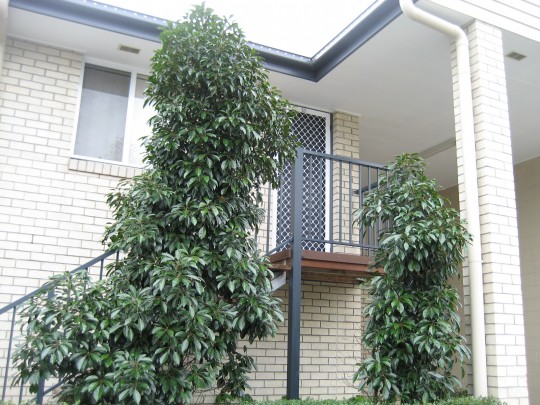 Property in Eagleby - Leased