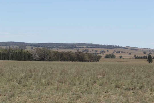 Property in Binnaway - Sold