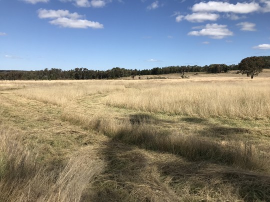 Property in Coonabarabran - Sold