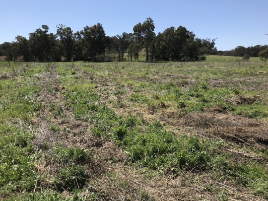 Property in Coonabarabran - Sold