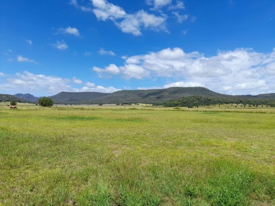 Property in Coonabarabran - $1,070,000