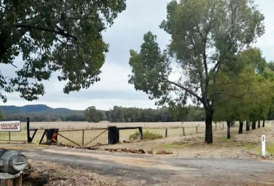 Property in Coonabarabran - $1,100,000