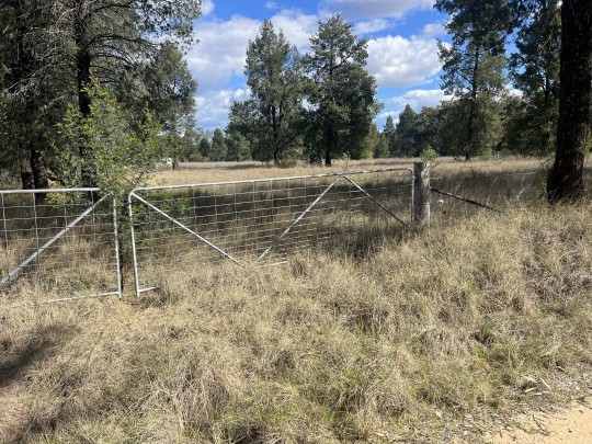 Property in Baradine - $90,000