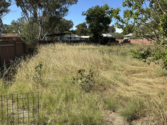 Property in Coonabarabran - $60,000
