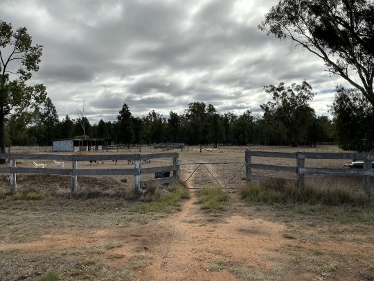 Property in Baradine - $98,000