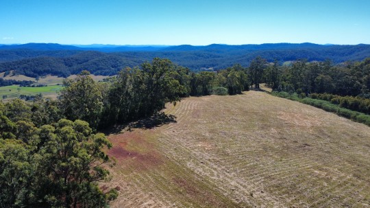 Property in Telegraph Point - $1,200,000