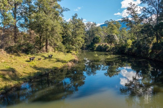 Property in Mount Seaview - EXPRESSIONS OF INTEREST