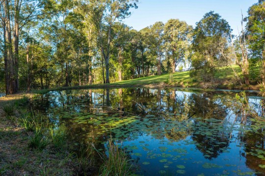 Property in Brombin - $1,595,000