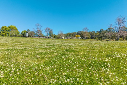 Property in Mortons Creek - PRICE REDUCTION   $2,150,000