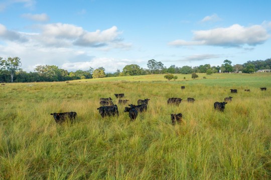 Property in Mortons Creek - EXPRESSIONS OF INTEREST