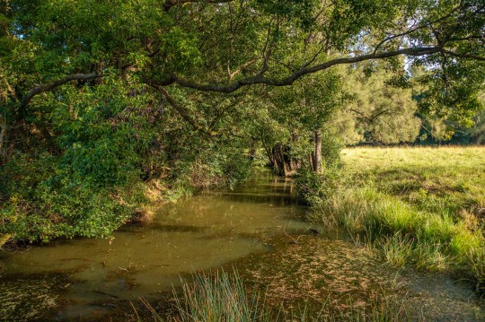 Property in Mortons Creek - EXPRESSIONS OF INTEREST