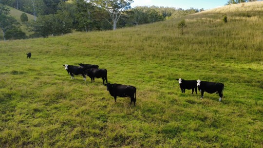 Property in Upsalls Creek - $2,000,000