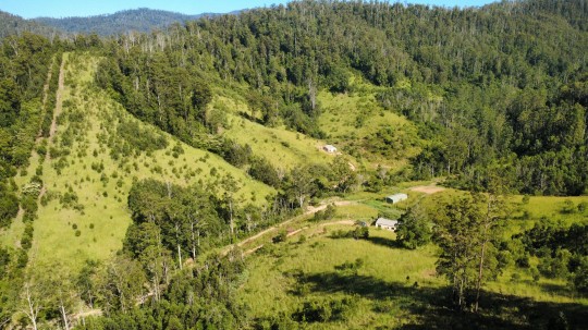 Property in Upper Pappinbarra - $750,000