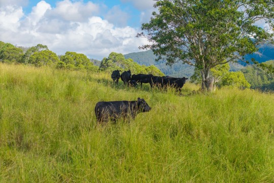 Property in Upper Rollands Plains - EXPRESSIONS OF INTEREST