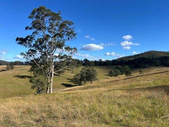 Property in Millbank - $525,000