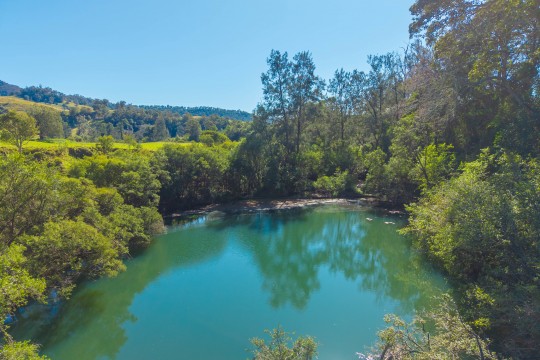 Property in Taylors Arm - $1,195,000